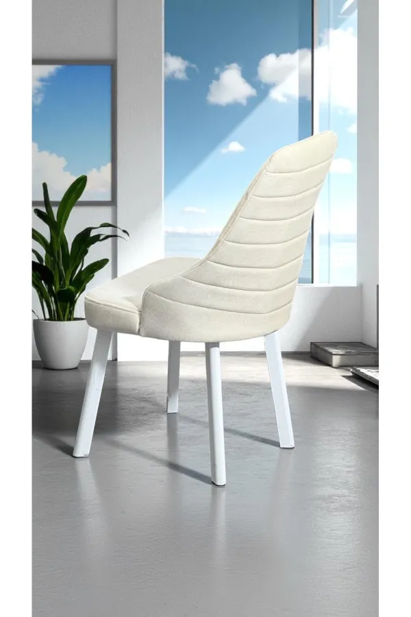 2 Adet Erciyes Sandalye Mutfak Cafe Restaurant Proje Metal Lüks Sandalye