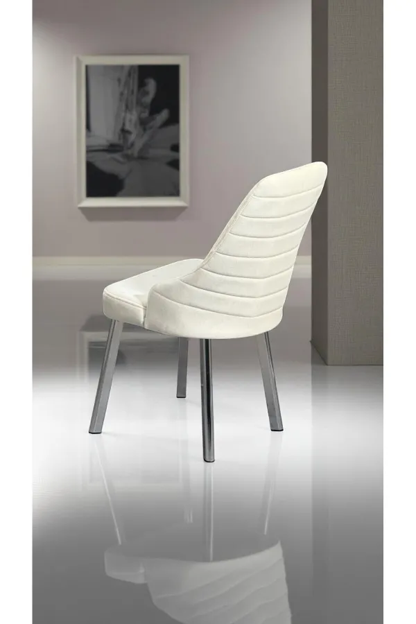 2 Adet Erciyes Sandalye Mutfak Cafe Restaurant Proje Metal Lüks Sandalye