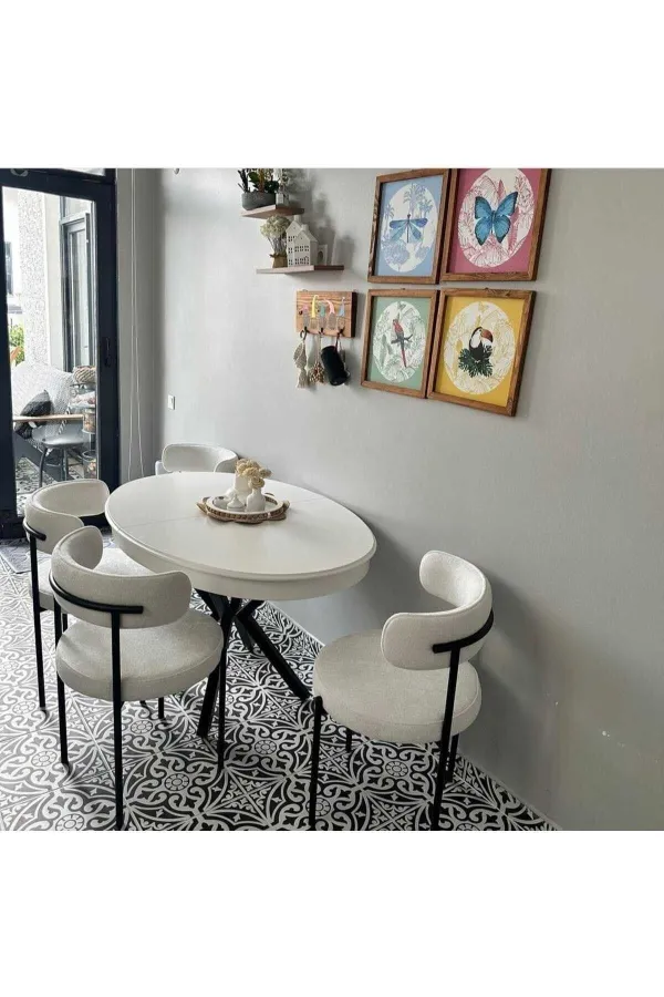 4'lü Teddy Sandalye Mutfak Sandalyesi Salon Sandalyesi Cafe Restaurant Sandalyesi