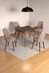 4 Kişilik Sabit Masa Sandalye Takımı 70x110 Cm Mutfak Masası Takımı Yemek Masası Masa Takımı