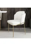 4'lü Gold Mutfak Sandalyesi Salon Sandalyesi Yemek Odası Sandalyesi 4 Adet Sandalye Baby Face-1