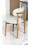 6 Adet POLO SANDALYE CAFE Restaurant PROJE DAYANIKLI GARANTİLİ İSKELET - Krem-1