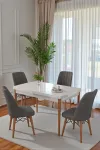 70X110 cm Mutfak Masası Takımı | 4 Kişilik Sabit Masa Sandalye Takımı | Beyaz Masa - Antrasit