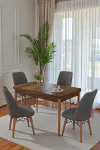 70X110 cm Mutfak Masası Takımı | 4 Kişilik Sabit Masa Sandalye Takımı | Ceviz Masa - Antrasit