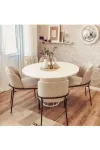 Mutfak Sandalyesi 4'lü Set Salon Sandalyesi Papel Sandalye Yemek Sandalye Lüks Sandalye Morena-1